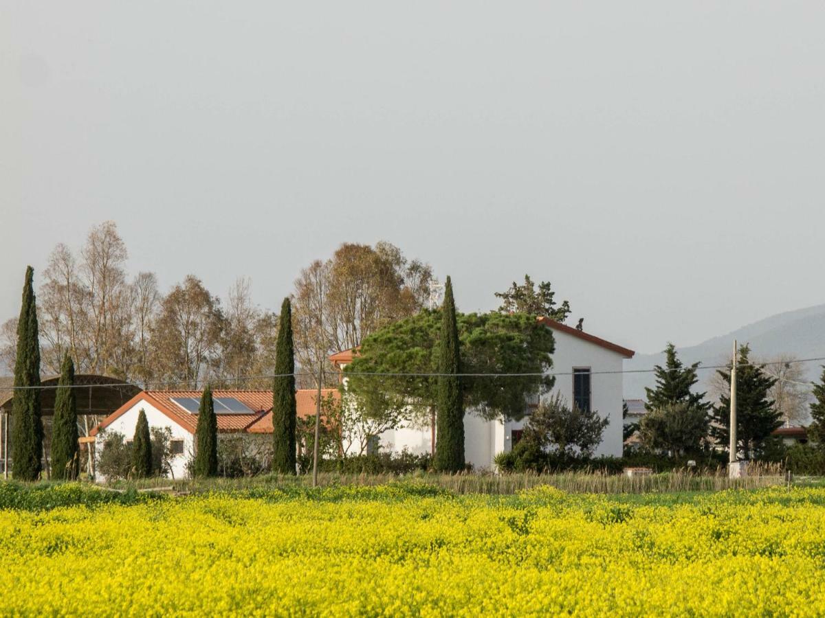 Podere684 Grosseto Exterior foto